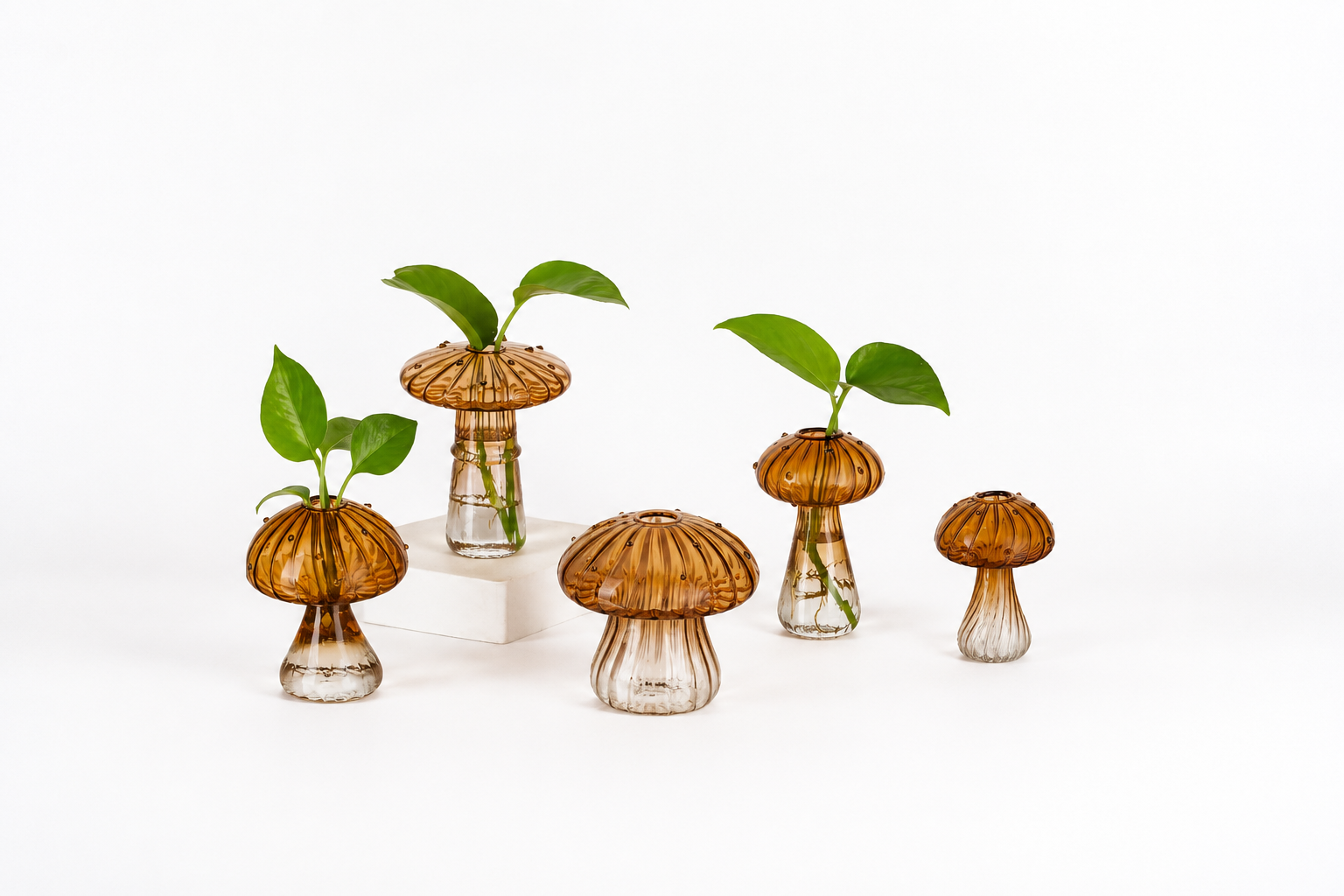 Vintage Mini Mushroom Vases by Embery Home™️